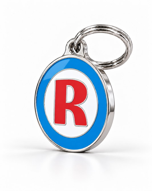 TAGiDOG letter R dog ID tag, angled view