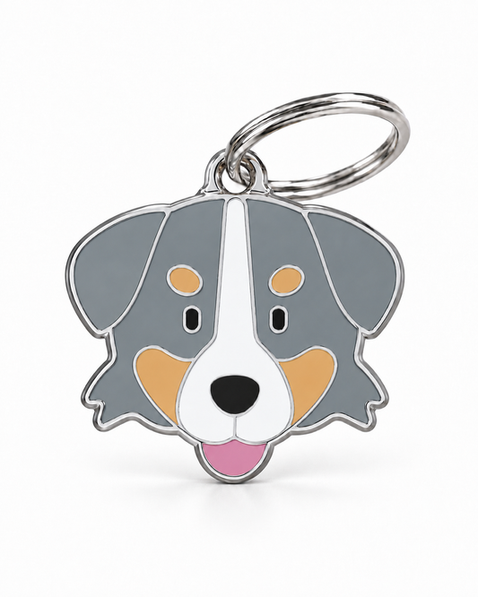 TAGiDOG Bernese Mountain Dog ID Tag, front view on white