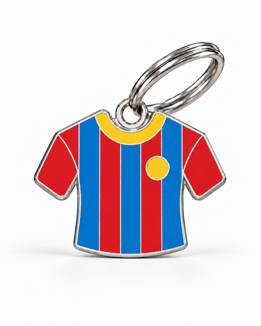 TAGiDOG Blaugrana Jersey ID Tag dog ID tag, front view on white