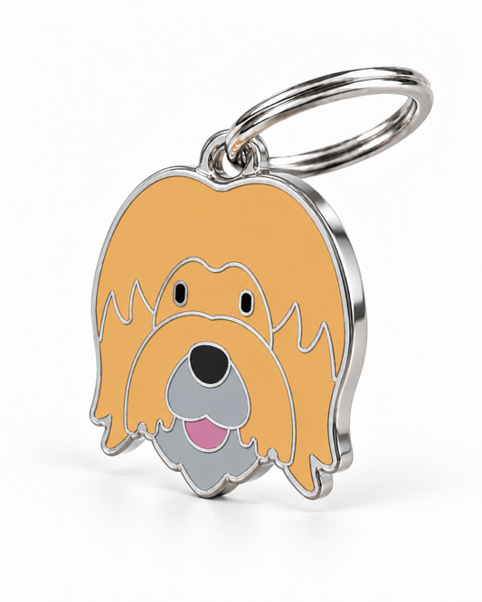 TAGiDOG Briard Dog ID Tag, angled view