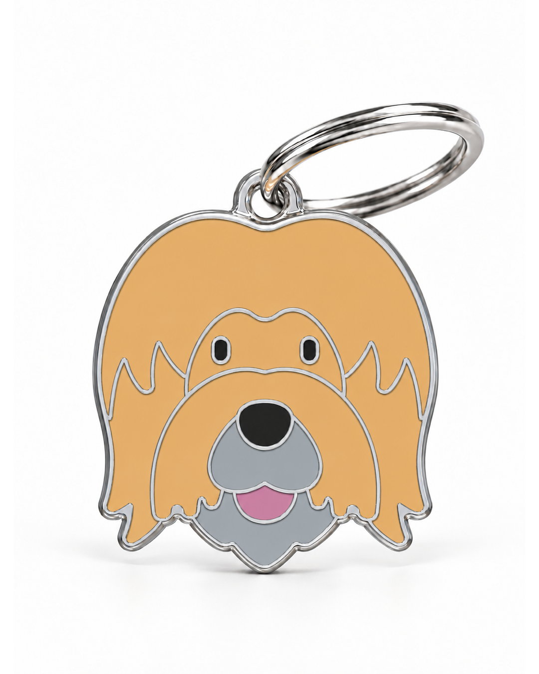 TAGiDOG Briard Dog ID Tag, front view on white