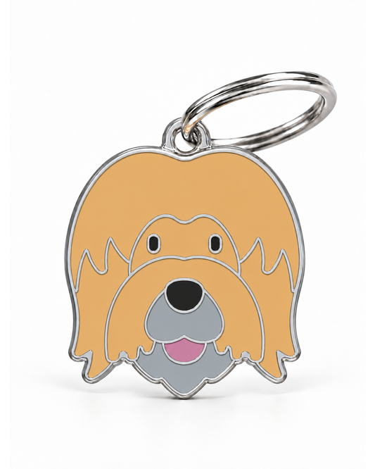 TAGiDOG Briard Dog ID Tag, front view on white