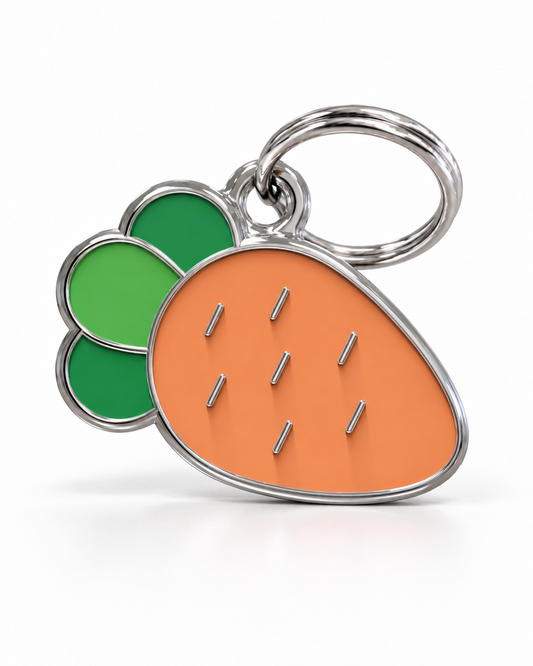 TAGiDOG Carrot ID Tag dog ID tag, front view on white