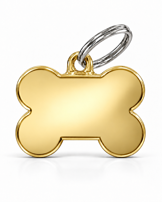 TAGiDOG Classic Gold Bone ID Tag Small, front view on white
