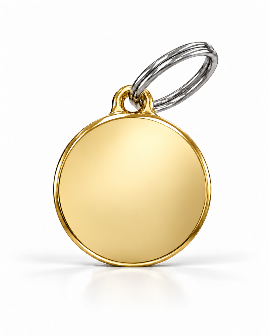 TAGiDOG Classic Gold Round ID Tag, front view on white
