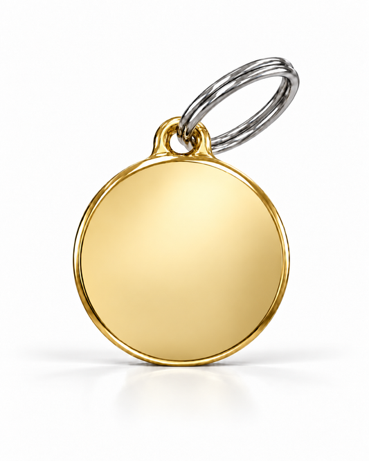 TAGiDOG Classic Gold Round ID Tag, front view on white