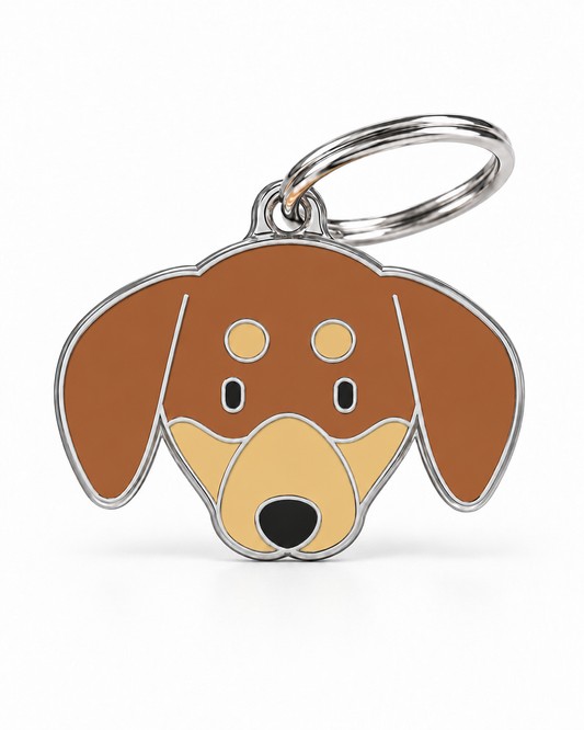 TAGiDOG Dachshund Dog ID Tag, front view on white