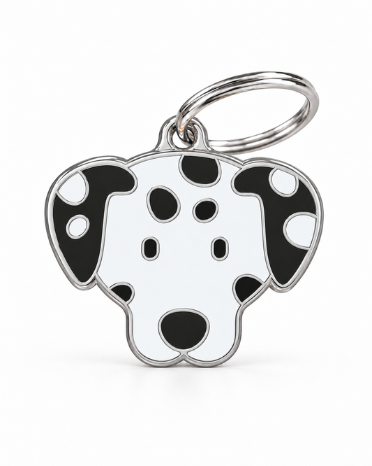 TAGiDOG Dalmatian Dog ID Tag, front view on white
