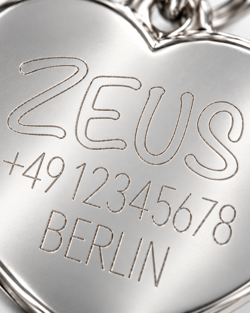 TAGiDOG Pride Heart Rainbow ID Tag personalised engraving close-up example