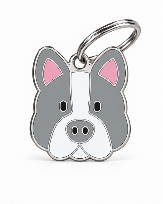TAGiDOG French Bulldog Dog ID Tag, front view on white