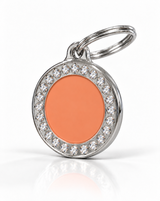 TAGiDOG Glorious Orange Round ID Tag, angled view