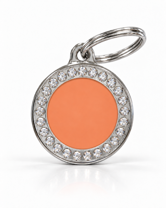 TAGiDOG Glorious Orange Round ID Tag, front view on white