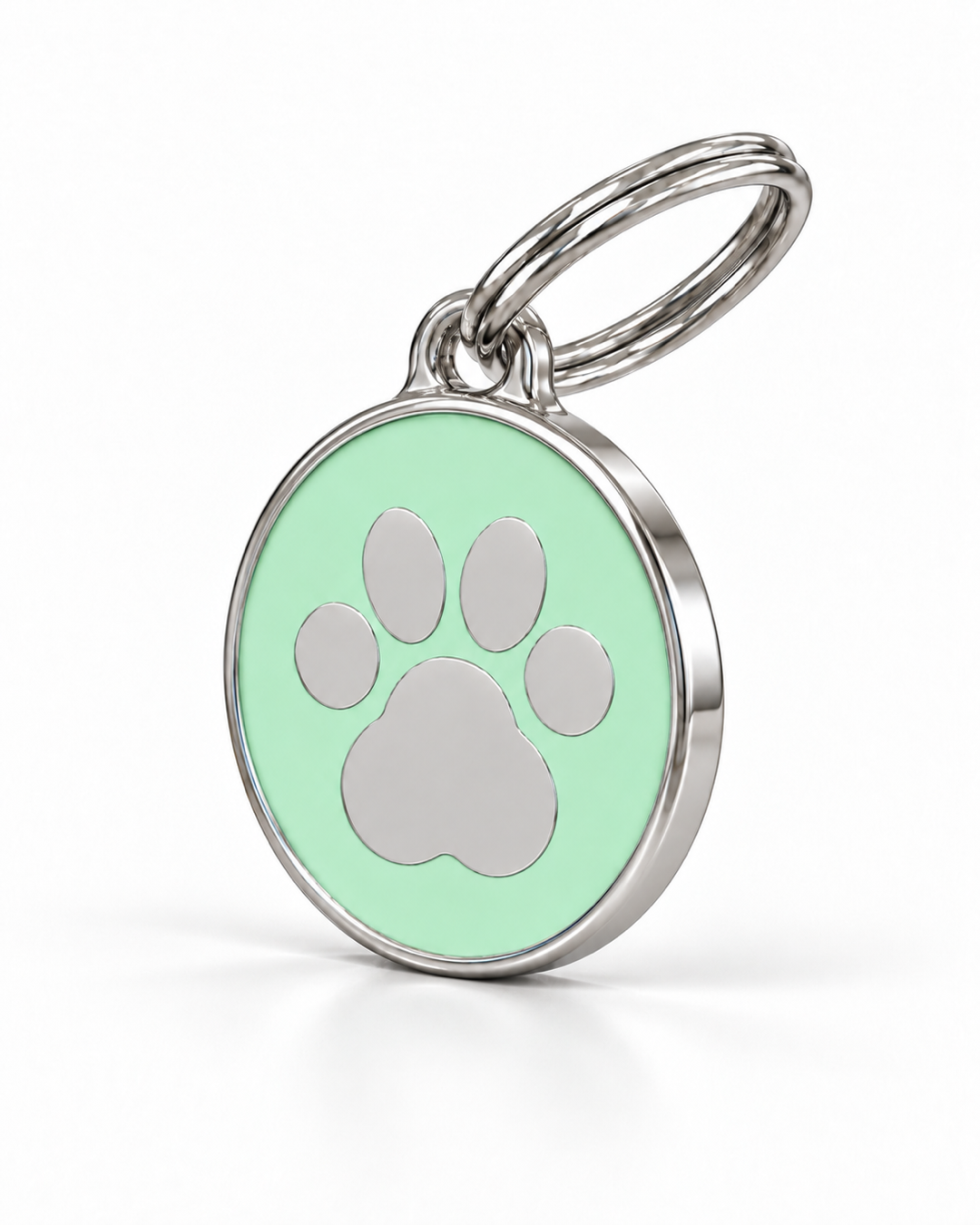 TAGiDOG Icon Paw Pistachio ID Tag dog ID tag, angled view