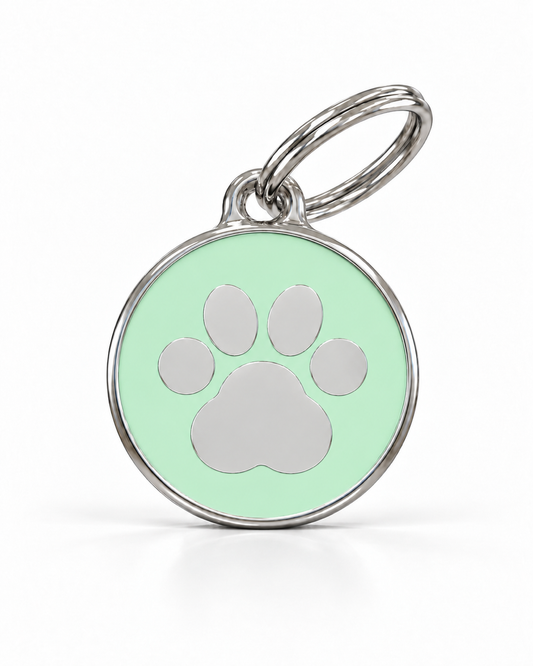 TAGiDOG Icon Paw Pistachio ID Tag dog ID tag, front view on white
