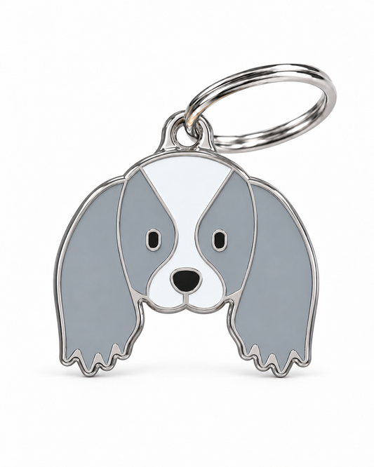 TAGiDOG Japanese Chin Dog ID Tag, front view on white
