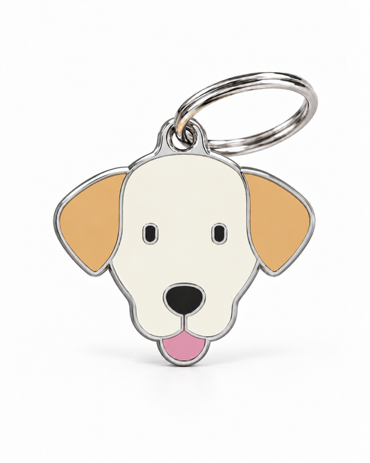 TAGiDOG Labrador Retriever Dog ID Tag, front view on white