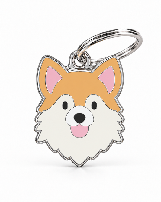 TAGiDOG Long Coat Chihuahua Dog ID Tag, front view on white