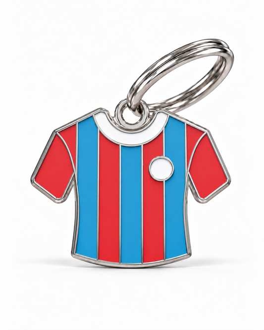 TAGiDOG Munich Jersey ID Tag, front view on white
