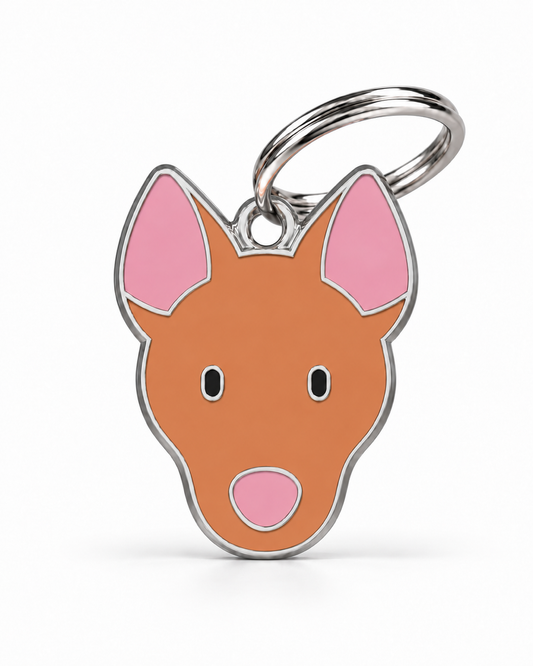TAGiDOG Pharaoh Hound Dog ID Tag, front view on white