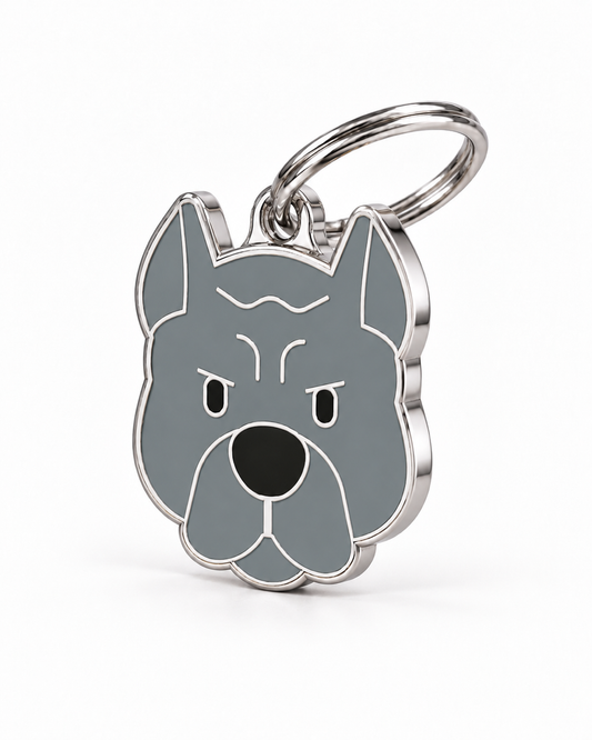 TAGiDOG Pit Bull Dog ID Tag, angled view
