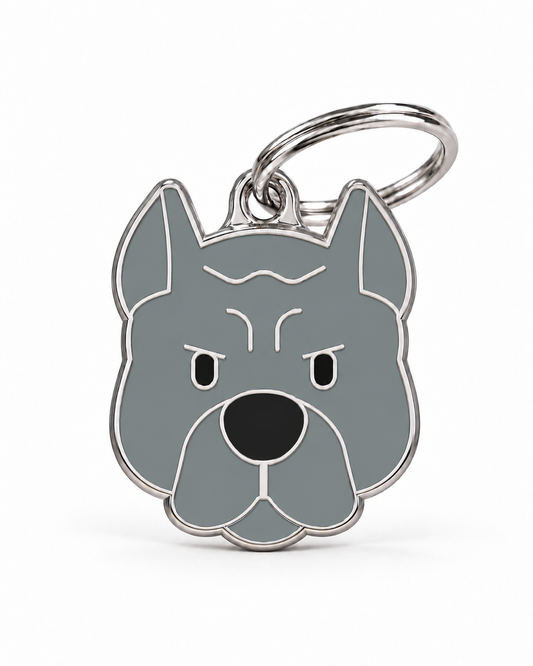TAGiDOG Pit Bull Dog ID Tag, front view on white