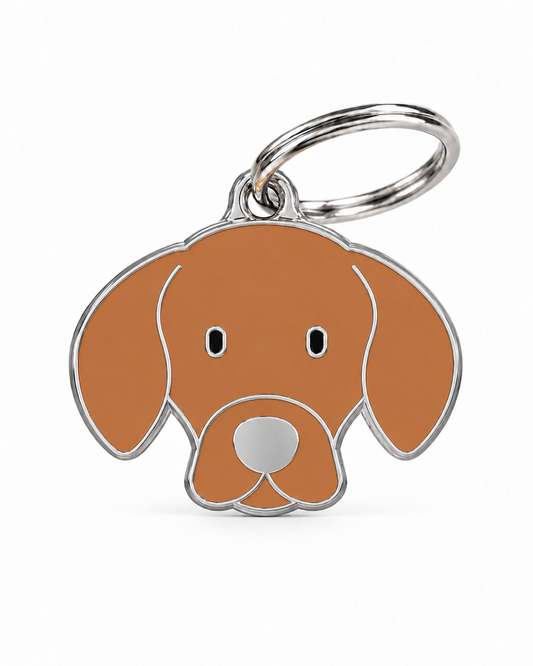 TAGiDOG Pointer Dog ID Tag, front view on white