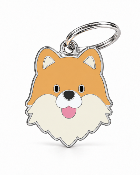TAGiDOG Pomeranian Dog ID Tag, front view on white