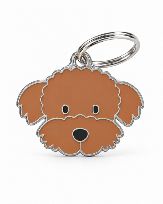 TAGiDOG Poodle Dog ID Tag, front view on white