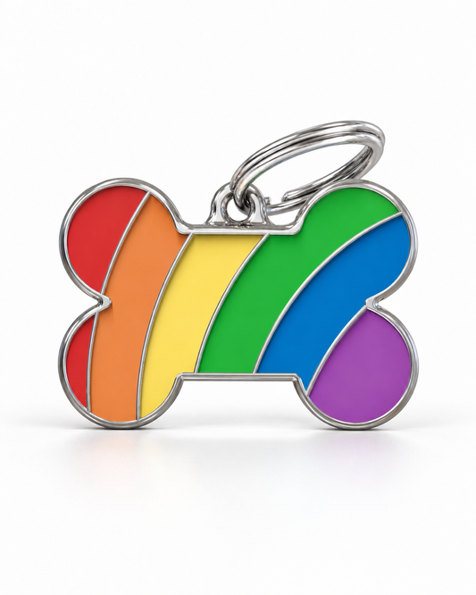 TAGiDOG Pride Bone Rainbow ID Tag Medium dog ID tag, front view on white