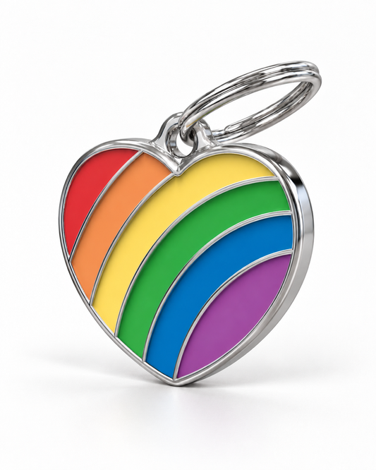 TAGiDOG Pride Heart Rainbow ID Tag dog ID tag, angled view