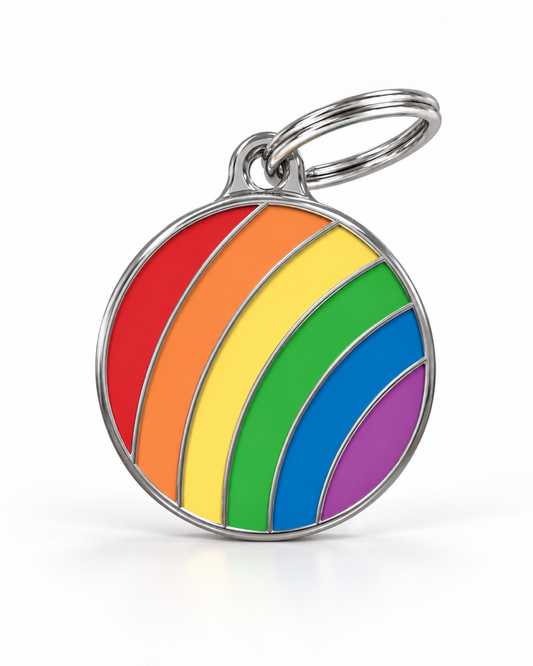 TAGiDOG Pride Round Rainbow ID Tag dog ID tag, front view on white