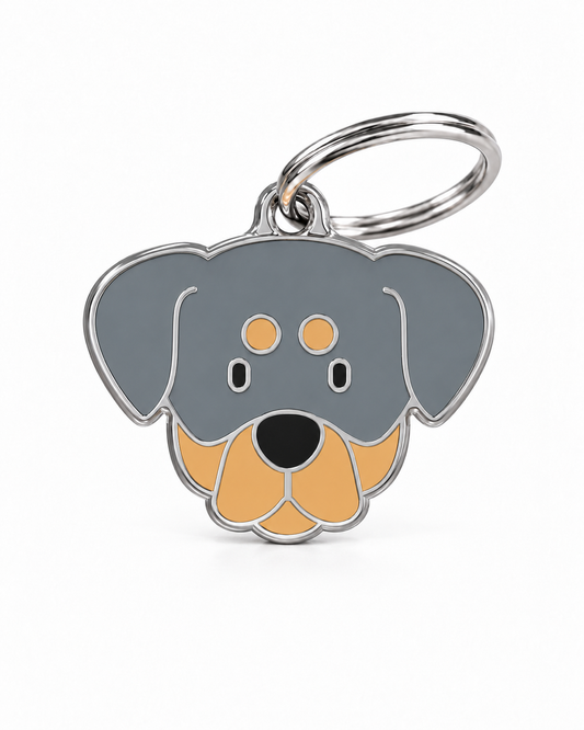 TAGiDOG Rottweiler Dog ID Tag, front view on white