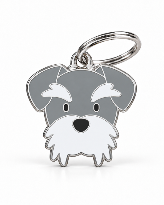 TAGiDOG Schnauzer Dog ID Tag, front view on white