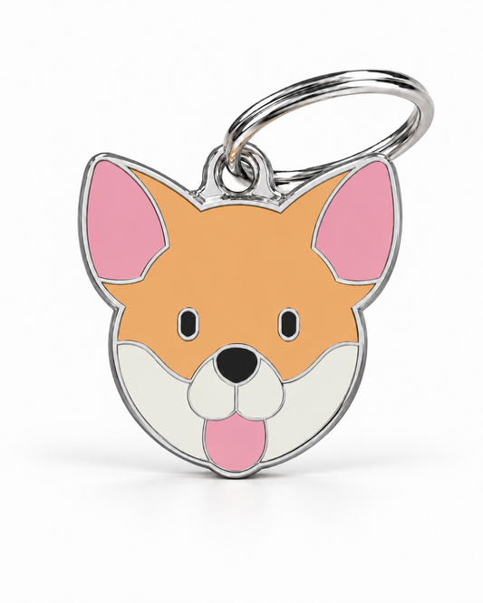 TAGiDOG Smooth Coat Chihuahua Dog ID Tag, front view on white