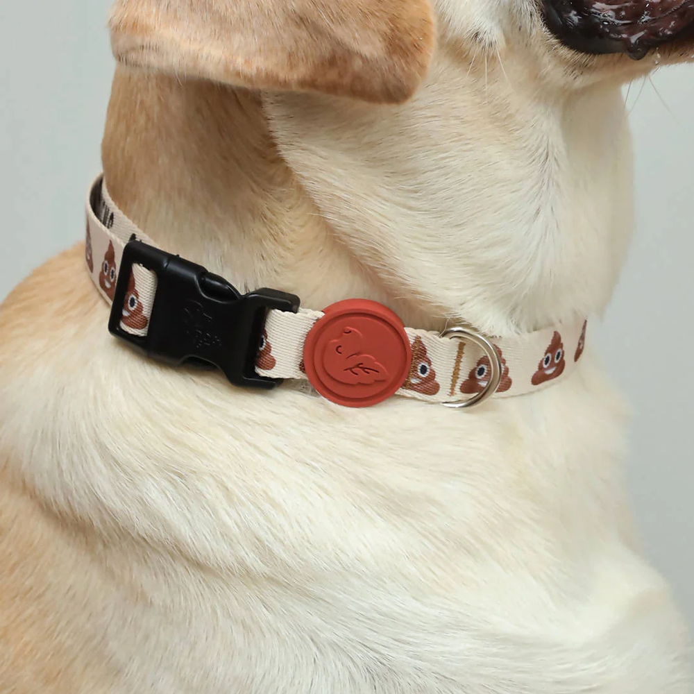 Vibrant collection of dog collars available in our online pet shop. Premium designer dog collar, now in stock at our online store. Puppy collar. Dog Collar.