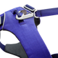Front Range Dog Harness - Huckleberry Blue