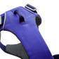 Front Range Dog Harness - Huckleberry Blue