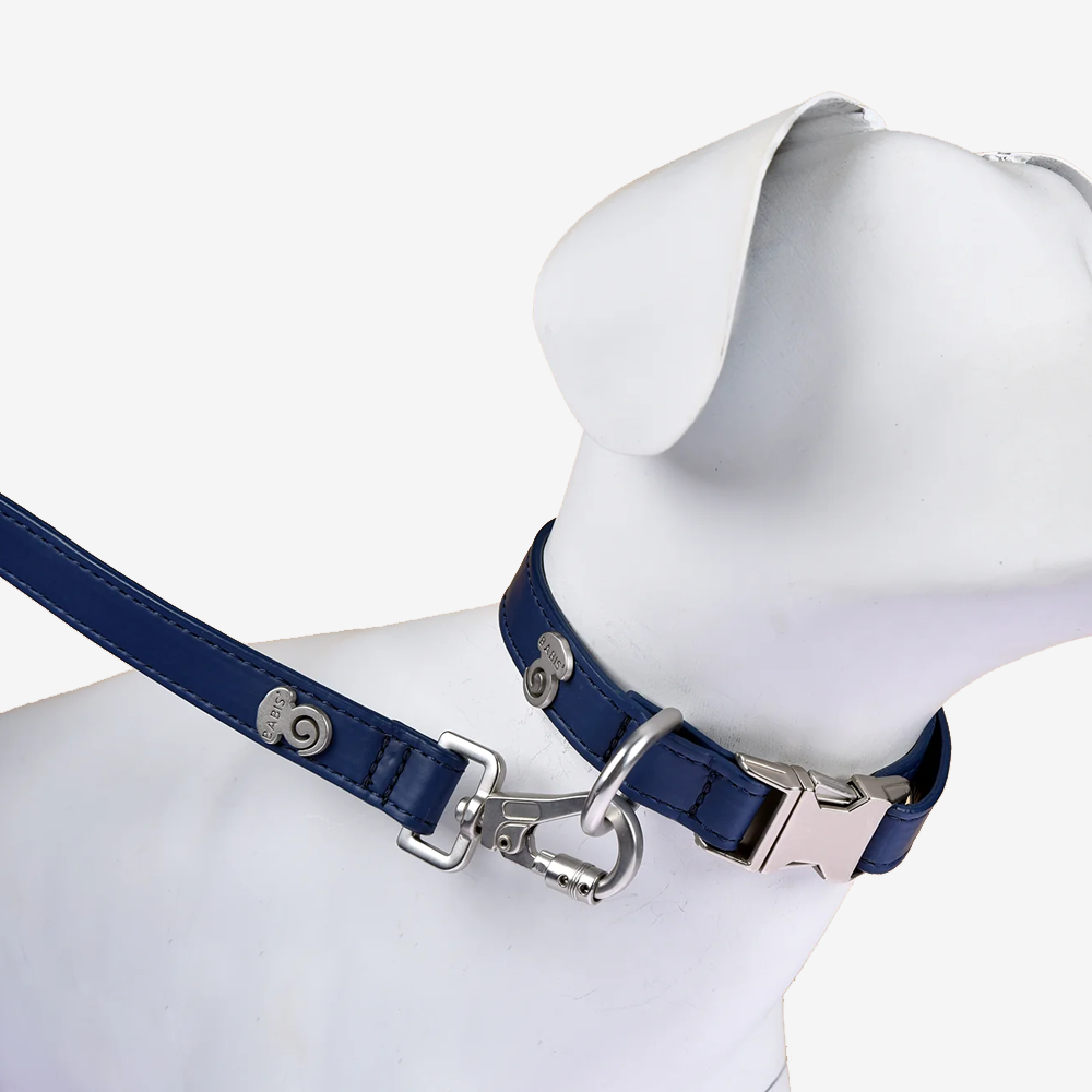 Vibrant collection of dog collars available in our online pet shop. Premium designer dog collar, now in stock at our online store. Puppy Collar. vegan leather.