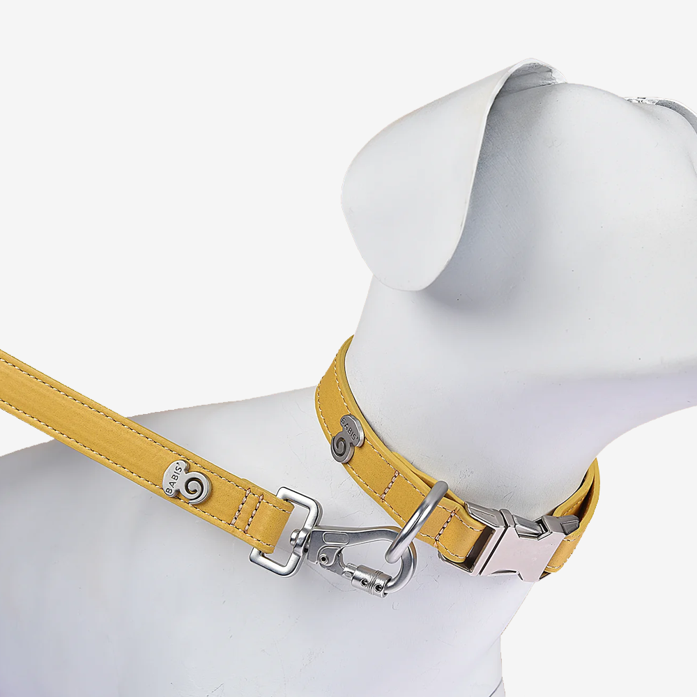 Vibrant collection of dog collars available in our online pet shop. Premium designer dog collar, now in stock at our online store. Puppy collar. Dog Collar.  Vegan leather collar