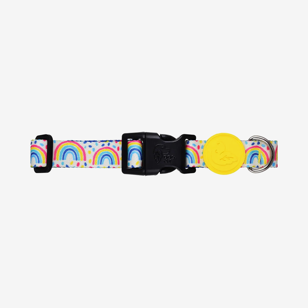 Vibrant collection of dog collars available in our online pet shop. Premium designer dog collar, now in stock at our online store. Puppy Collar. Luxury Collar