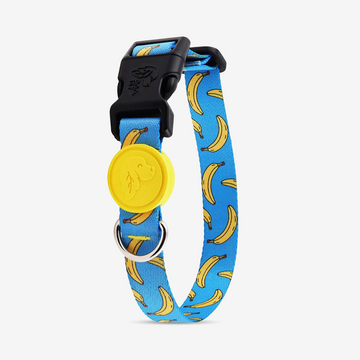 Vibrant collection of dog collars available in our online pet shop. Premium designer dog collar, now in stock at our online store. Puppy Collar.