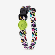 Cheetah Dog Collar