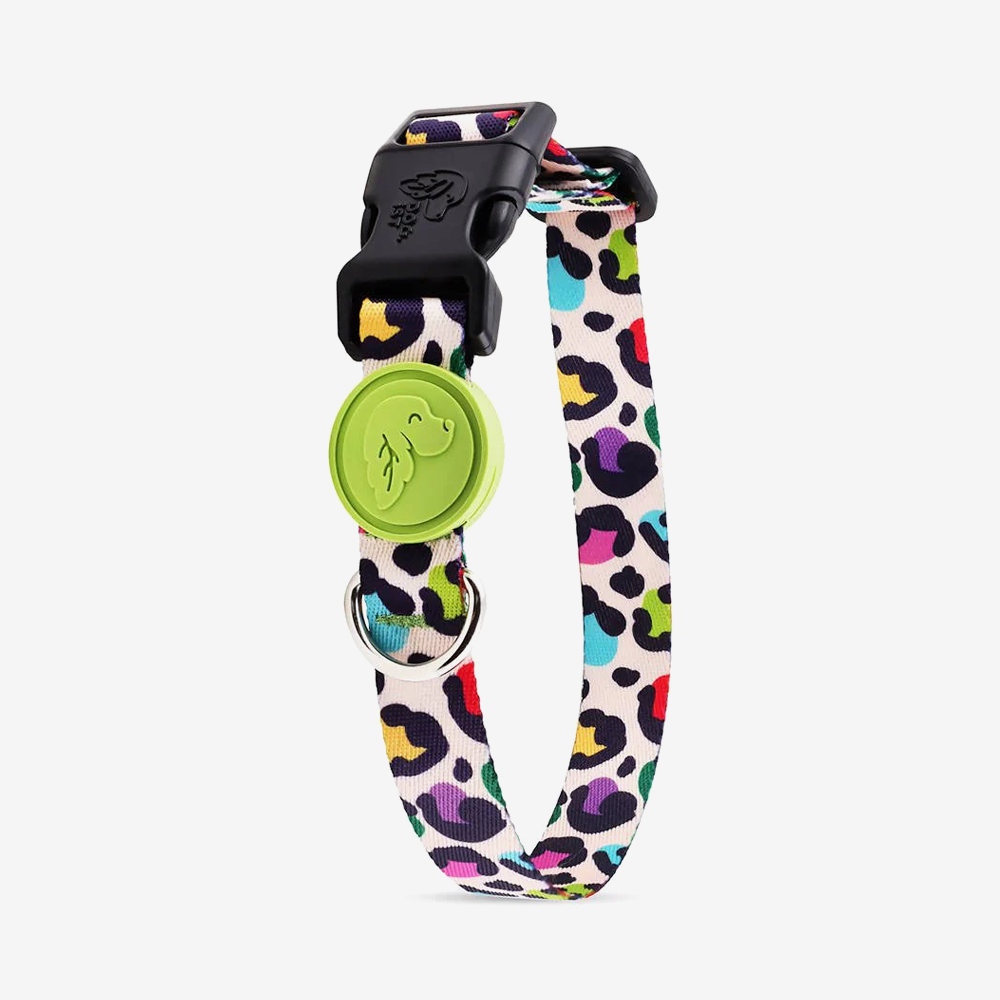 Vibrant collection of dog collars available in our online pet shop. Premium designer dog collar, now in stock at our online store. Puppy Collar.