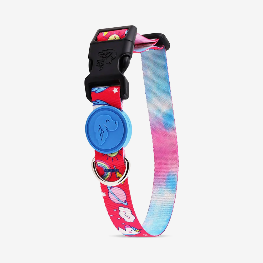 Vibrant collection of dog collars available in our online pet shop. Premium designer dog collar, now in stock at our online store. Puppy collar. Dog Collar. 