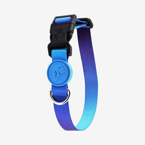 Vibrant collection of dog collars available in our online pet shop. Premium designer dog collar, now in stock at our online store. Puppy Collar.