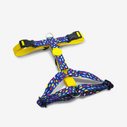Color Invaders H-Harness