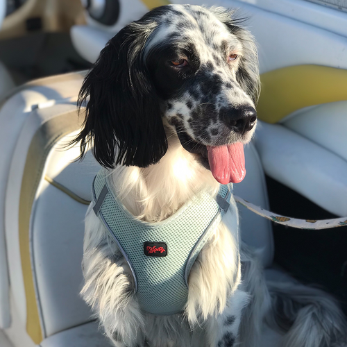Moon Air Mesh Harness