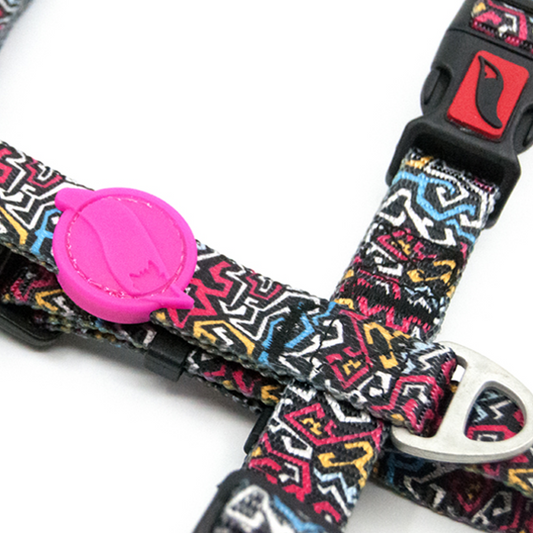 Perfect fit adjustable dog harness for training Labradors Durable, perfect fit leather dog harness designed for English Bulldogs, Cocker Spaniels, for active Border Collies,Terrier dog harness ensuring perfect control and fit, Colorful perfect fit dog harnesses for Jack Russell Terrier, French Bulldogs, for German Shepherds. Easy to use, step-in perfect fit dog harness for Boxer dogs. Premium perfect fit dog harness designed for the comfort of Golden Retrievers