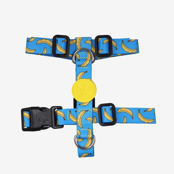 Banana H Harness