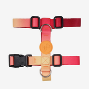 Flame H Harness